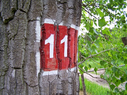 number-11
